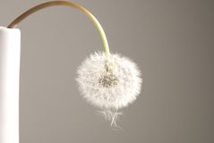 Anderes medikament für viagra Anderes medikament für viagra