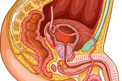 Kann das zu Impotenz führen?