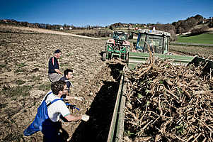 Natürliche alternative zu propecia