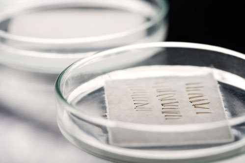 Regaine propecia vergleich