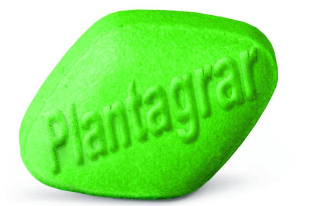 Viagra pflanzen